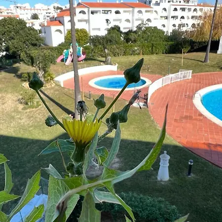 Painel De Albufeira